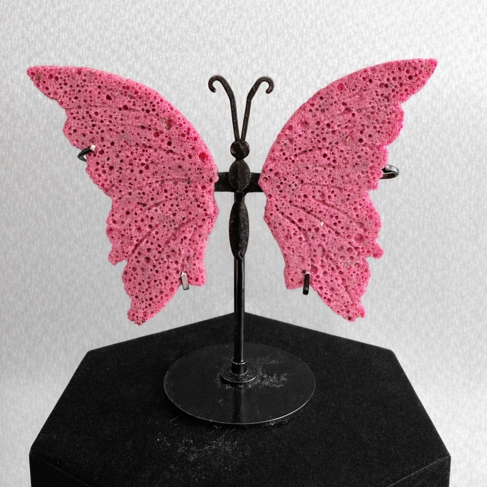 Honeycomb Ruby butterfly